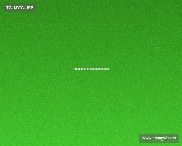 门兴格拉德巴赫新赛季阵容解析与德甲争冠前景展望